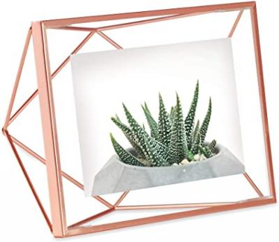 Umbra Prisma Picture Frame