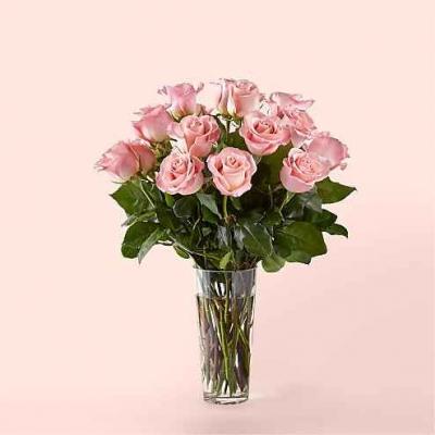 ProFlowers Long Stem Pink Rose Bouquet 