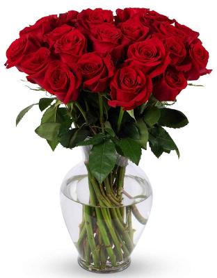 Benchmark Bouquets Fresh Red Roses 